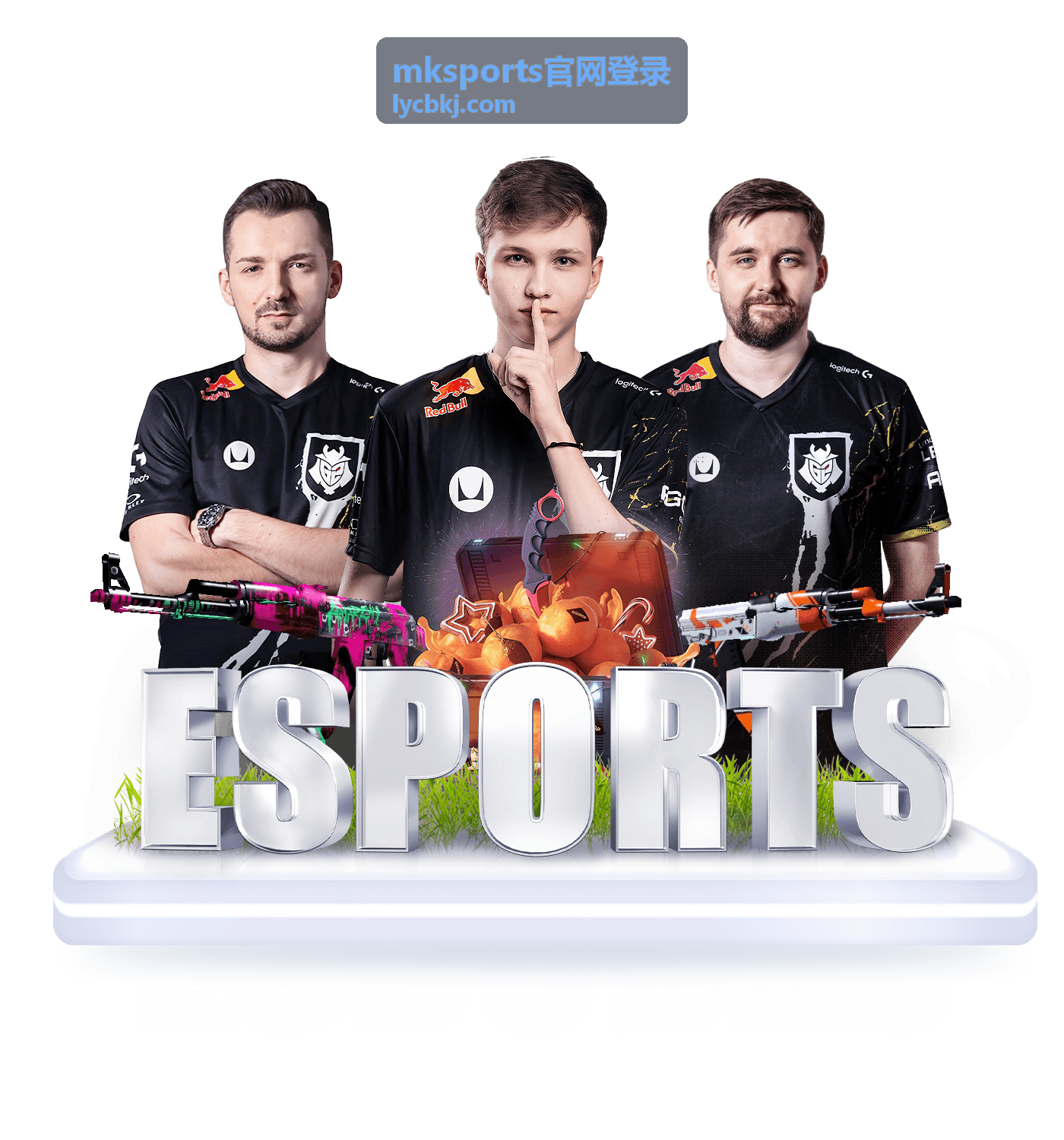 mksports官网登录入口地址核对页面示意